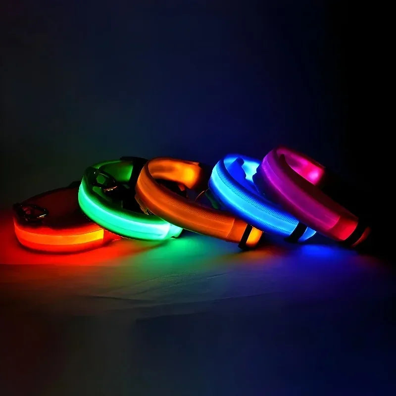 LED-Halsbånd