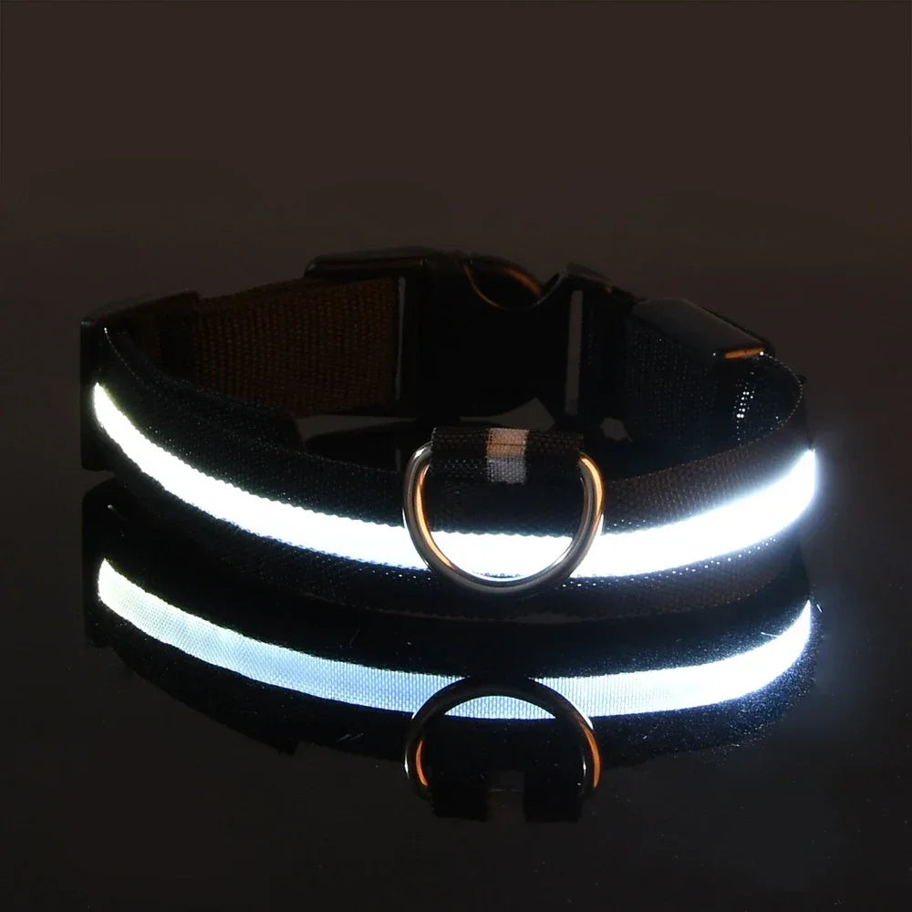 LED-Halsbånd