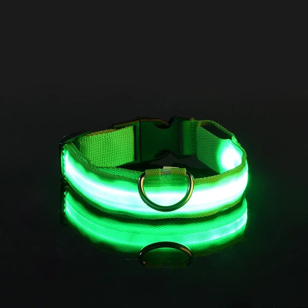 LED-Halsbånd